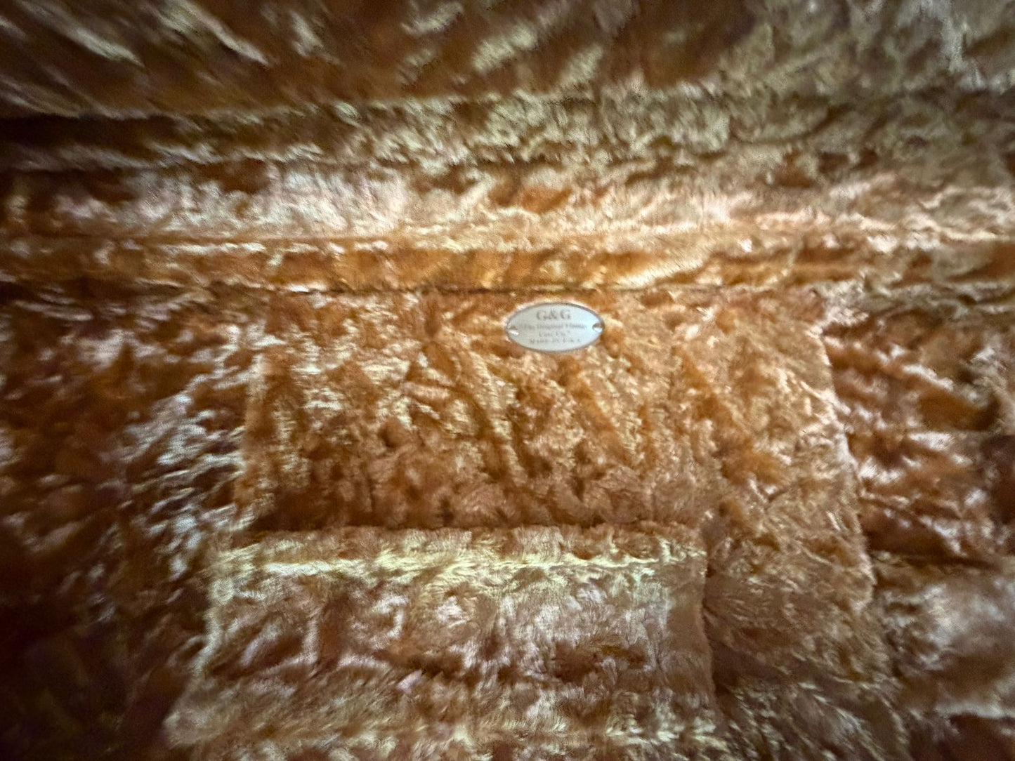 Randy Parsons California-Caster - Relic