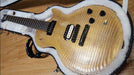 Gibson Les Paul BFG Gator Carved Top Solid Body Electric Gold Top P90 USA - Hybrid Guitar World